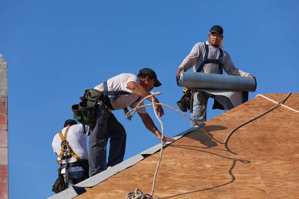 Best Storm Damage Roof Repair  in Oelwein, IA